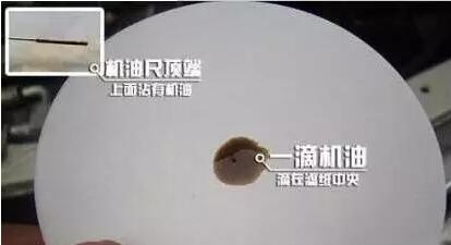 1515116749217052.jpg 6.jpg