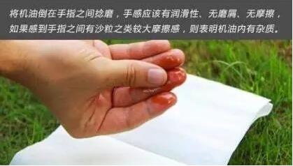 1515116814293734.jpg 11.jpg