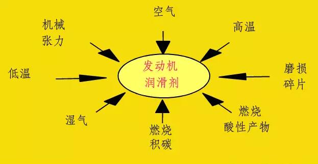 1515576299360348.jpg 3.jpg