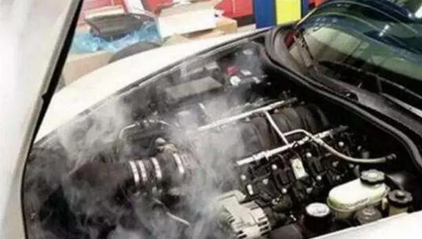 1515663062865799.jpg 5.jpg