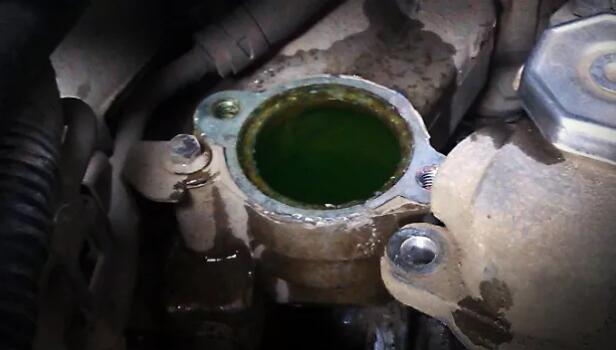 1515663201151816.jpg 9.jpg