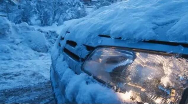 1515998798471198.jpg 1.jpg