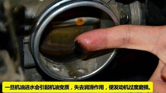 1516601284114206.jpg 1.jpg