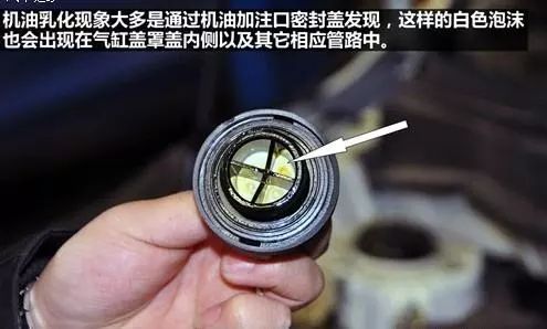 1516601306396236.jpg 2.jpg