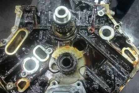 1517292442133794.jpg 4.jpg