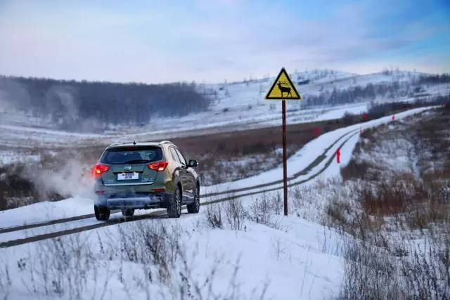 1517293390546288.jpg 7.jpg