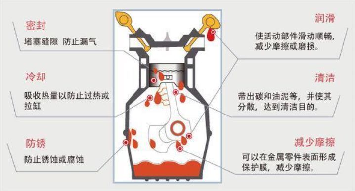 1517446955820745.jpeg 3.jpeg