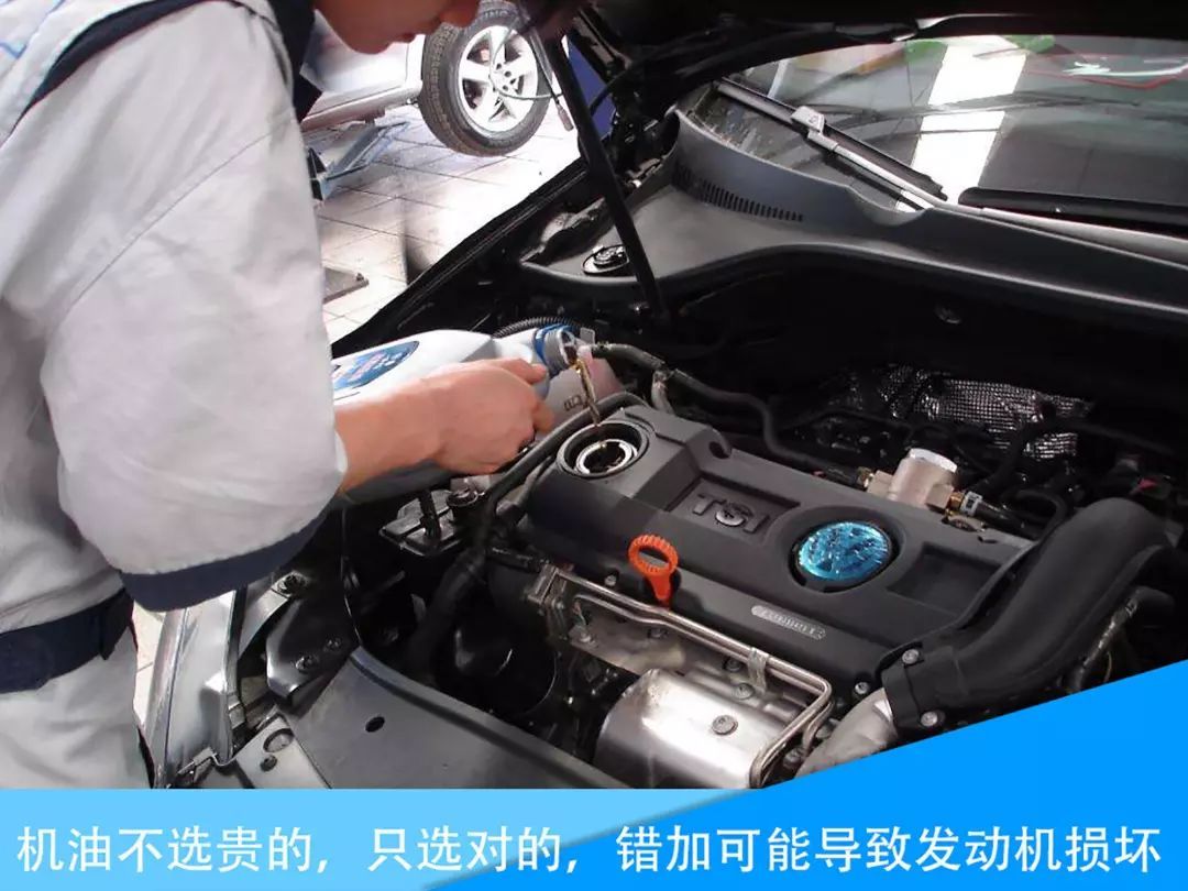 1517886243117950.jpeg 1.jpeg