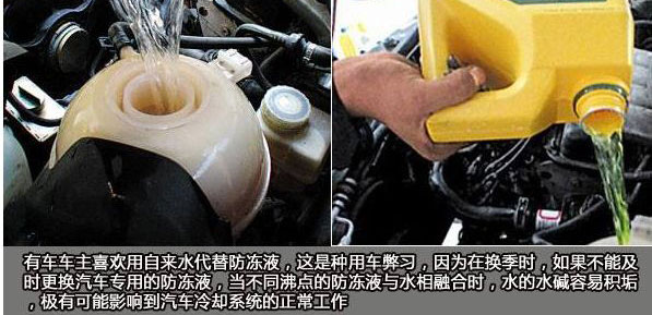 1517992525103112.jpg 3.jpg