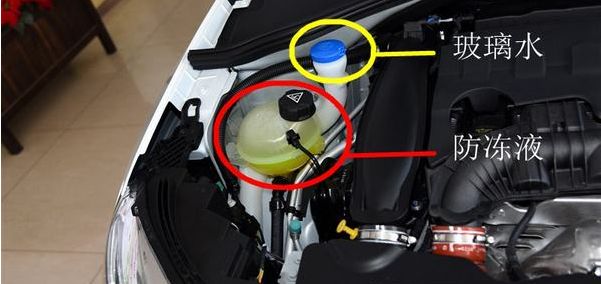 1517992564138063.jpg 5.jpg