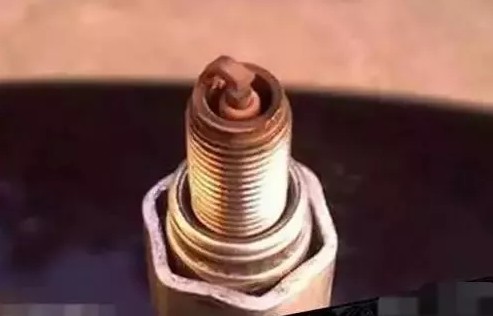 1521095125117270.jpg 2.jpg