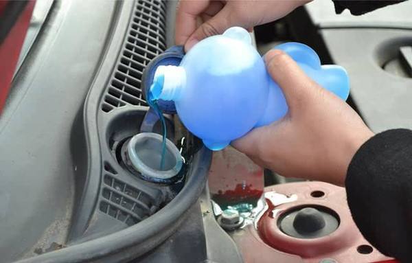 1521198649402347.jpg 9.jpg