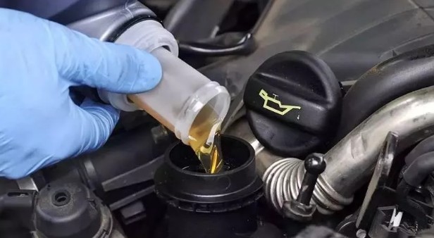 1522463497858699.jpg 2.jpg