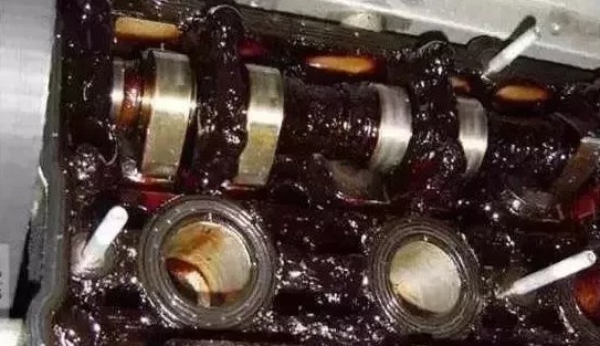 1525323052130618.jpg 5.jpg