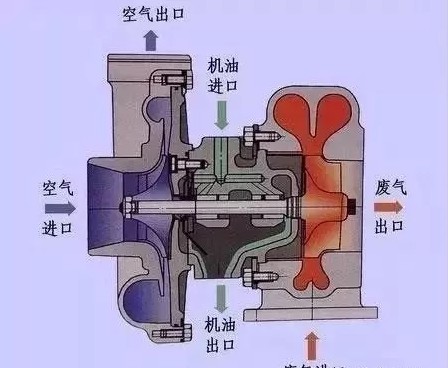 1531967532951303.jpg 3.jpg