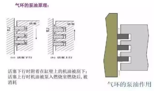 1534545621150310.png 6.png