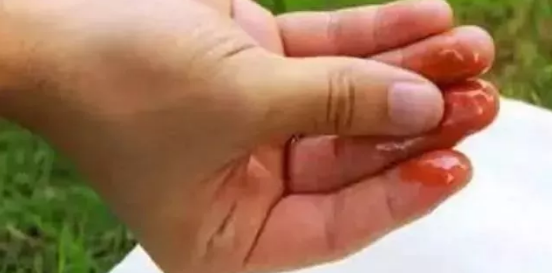 1539578059110217.png 04.png