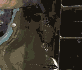 1540540013962750.gif 3.gif