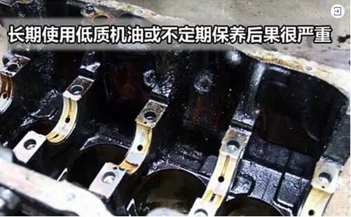 1542596607114744.jpg 8.jpg