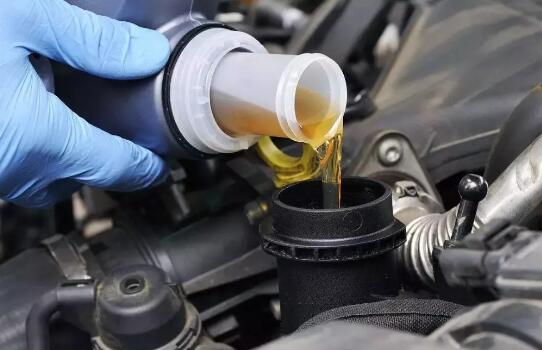 1544580183957887.jpg 6.jpg