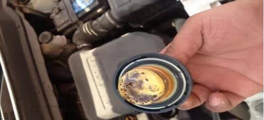 1544750292391976.jpg 1.jpg